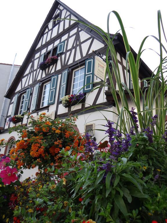 Hotel Schuetzenhof Spa Garden Bürstadt Esterno foto